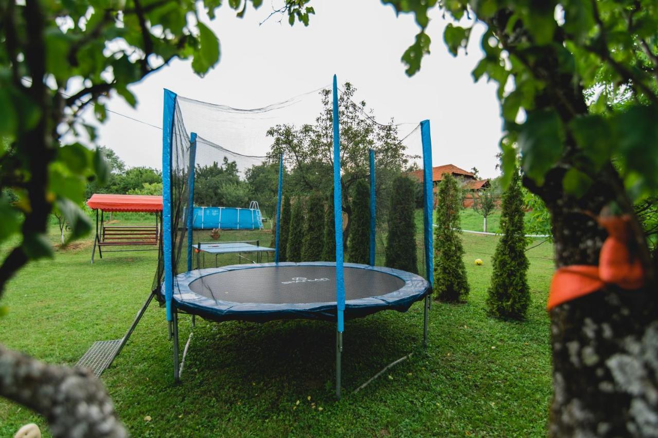 Pensiunea Alexia Novaci Străini Exterior foto